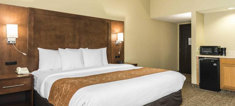 贝梅度斯靠近巴特勒大道舒适套房酒店(Comfort Suites Baymeadows Near Butler Blvd)图片