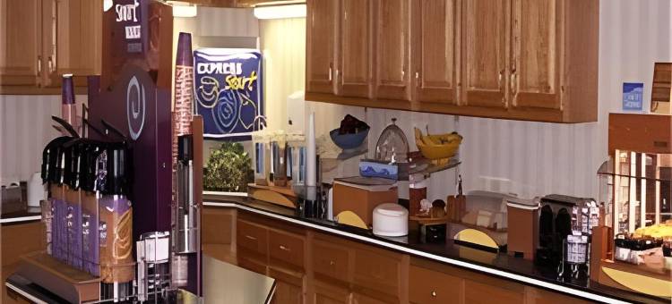 科科莫拉昆塔温德姆套房酒店(La Quinta Inn & Suites by Wyndham Kokomo)图片