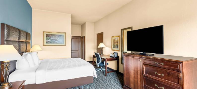 度假庄园贝斯特韦斯特酒店(Best Western Holiday Manor)图片