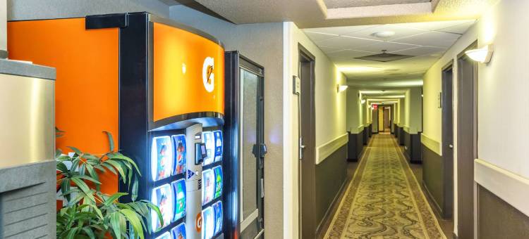 凯艺套房酒店(Quality Inn & Suites Yorkton)图片