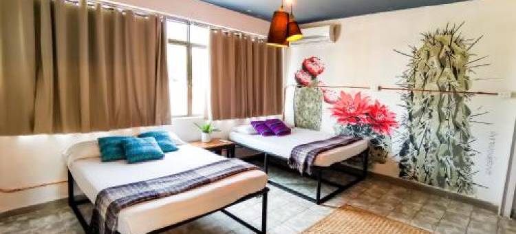 卡萨洛斯阿布埃洛斯酒店(Hotel Casa Los Abuelos)图片