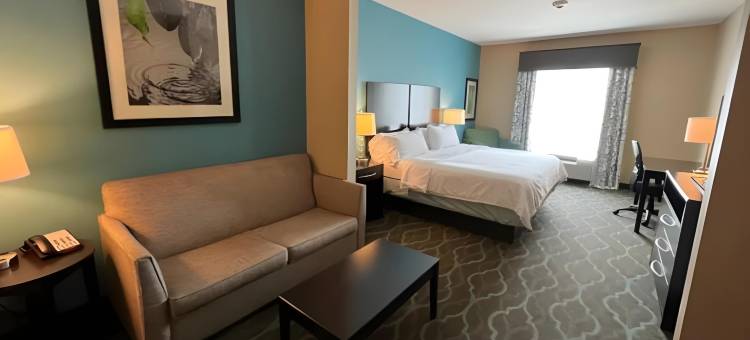 库埃罗智选假日酒店(Holiday Inn Express & Suites Cuero)图片