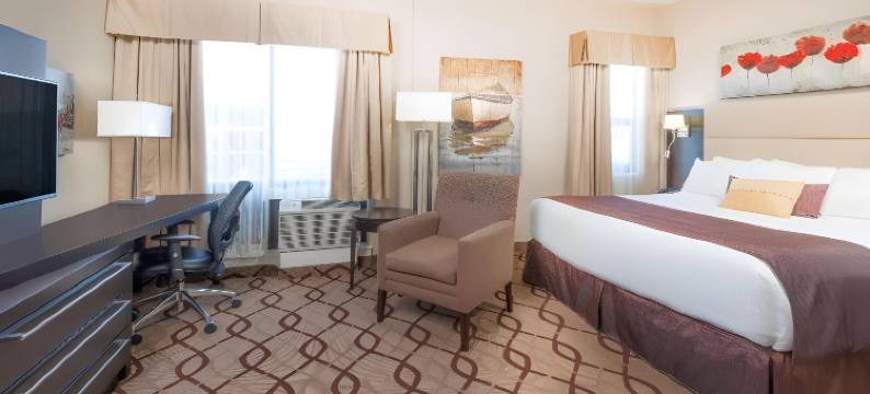 米德兰西舒适套房酒店(Comfort Suites Midland West)图片