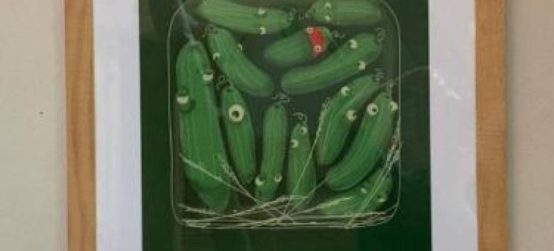 Scheunenherberge Schäfchenzählerei图片