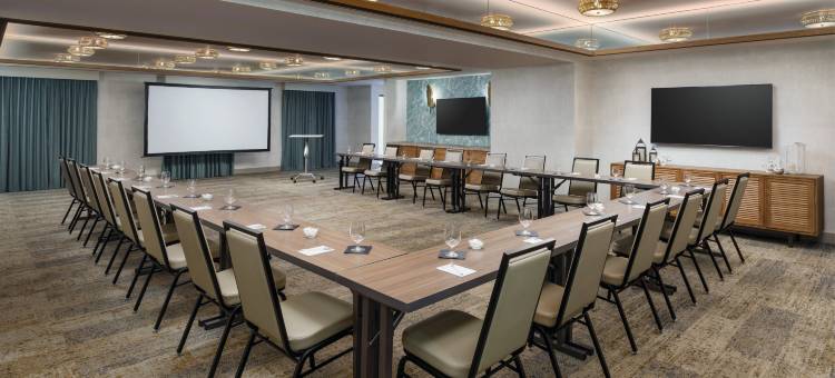 圣彼得海滩希尔顿花园酒店(Hilton Garden Inn St. Pete Beach)图片