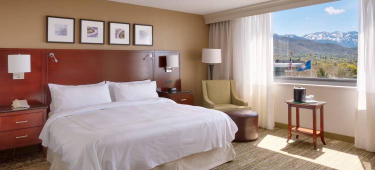 盐湖城大学公园万豪酒店(Salt Lake City Marriott University Park)图片