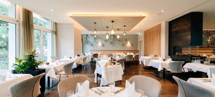 温特图尔公园酒店(Park Hotel Winterthur)图片