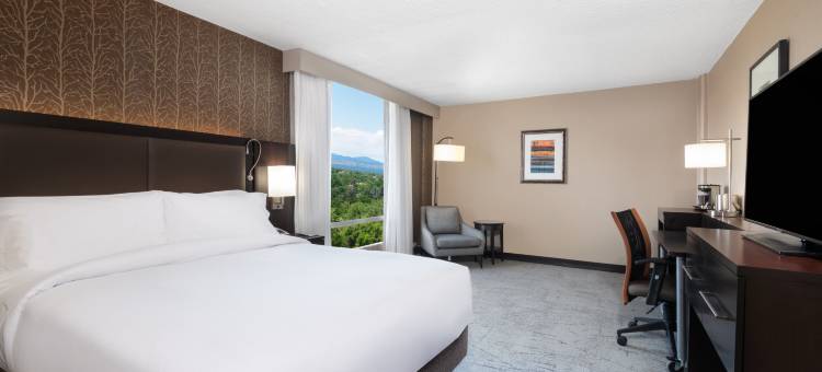 丹佛切里克里克希尔顿逸林酒店(DoubleTree by Hilton Denver Cherry Creek)图片