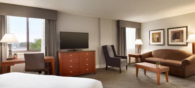 明尼阿波利斯公园广场希尔顿逸林酒店(DoubleTree by Hilton Minneapolis-Park Place)图片