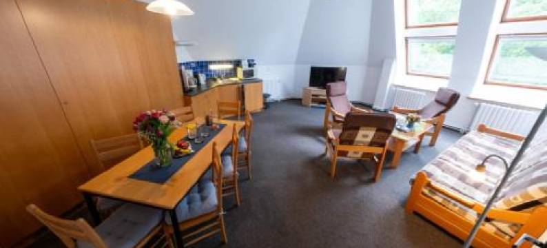 信息中心公寓(IT Centrum Apartments)图片