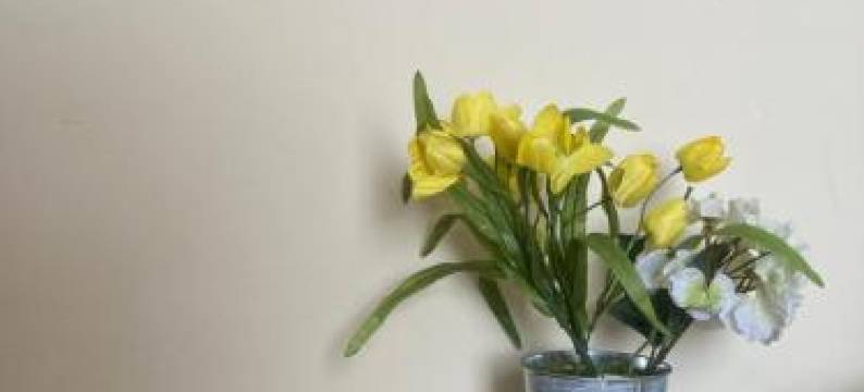 Departamento Acogedor en la Mejor Zona de La Paz图片