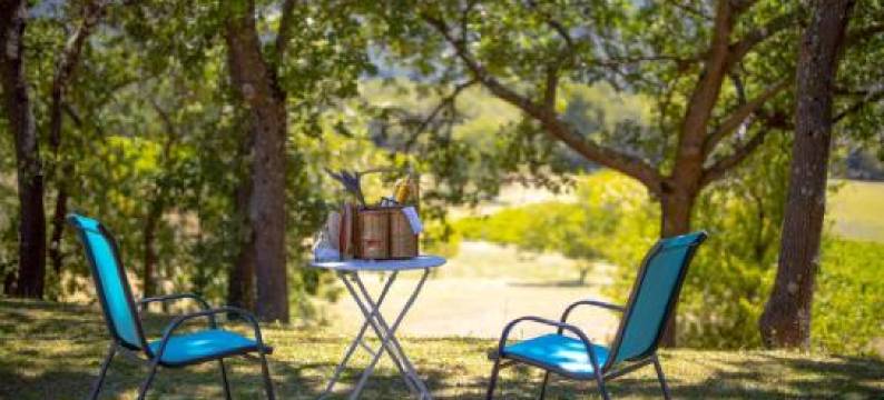 瑟伦尼特酒店(Le Mas Sérénité)图片