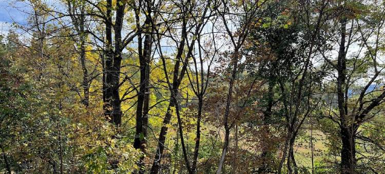 Spacious home in the Heart of 46 High Peaks on The AuSable River - 8-12 Guests图片