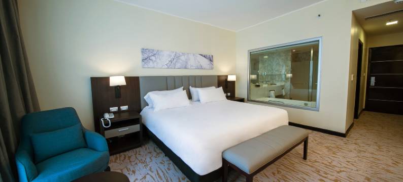 希尔顿花园酒店圣地亚哥-德尔埃斯特罗(Hilton Garden Inn Santiago del Estero)图片