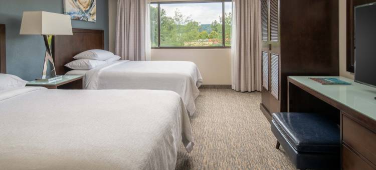 西雅图塔科马国际机场希尔顿安泊酒店(Embassy Suites by Hilton Seattle Tacoma International Airport)图片