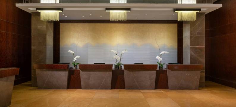 迈阿密 JW 万豪侯爵酒店(JW Marriott Marquis Miami)图片