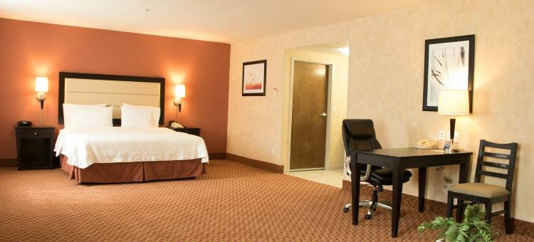 维多利亚城欢朋酒店(Hampton Inn by Hilton Ciudad Victoria)图片