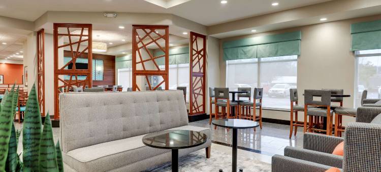 夏洛特阿罗伍德德鲁里套房酒店(Drury Inn & Suites Charlotte Arrowood)图片