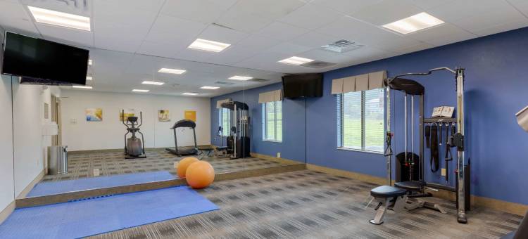 舒适套房旅馆(Comfort Inn & Suites East Ellijay)图片