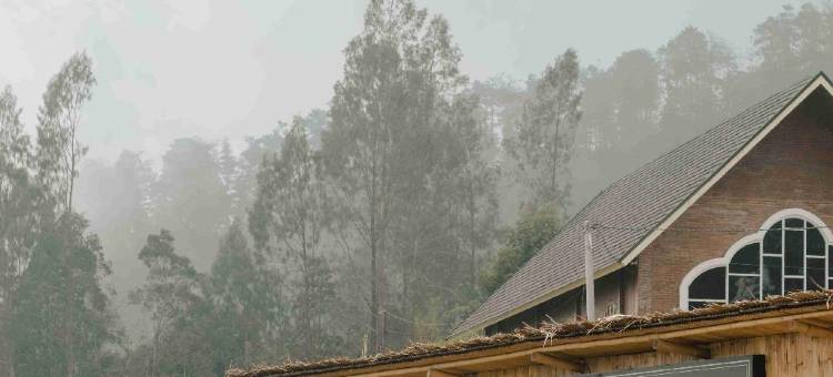 Desa Kepompong by Sinergi图片