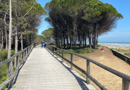 Seaside Flat with Terrace - Beahost Hotel Overview