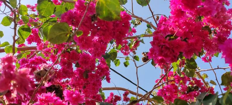 小镇家庭公寓(商业街1号分店)图片