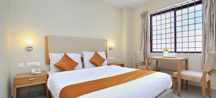 OYO 10950 山区宫殿酒店(Townhouse Hills Palace)图片