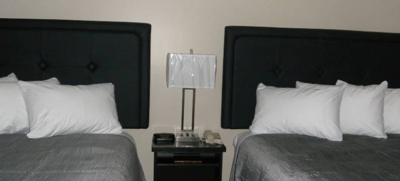 斯特昂佩德酒店(Stampeder Inn)图片