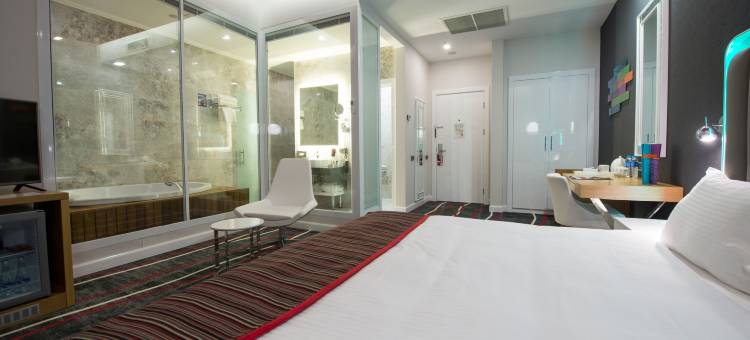 安卡拉坎卡亚丽柏酒店(Park Inn by Radisson Ankara Cankaya)图片