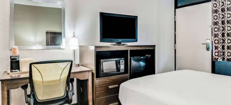 底特律市中心凯艺酒店(Quality Inn Detroit Downtown)图片