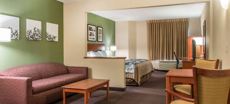 兰开斯特县舒眠套房酒店(Sleep Inn & Suites of Lancaster County)图片