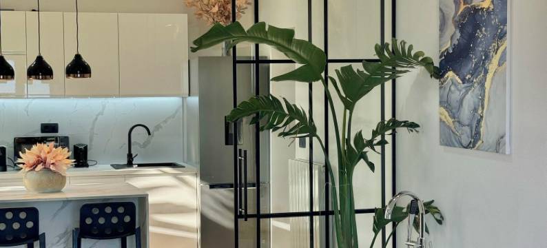 贝尼塔之家(Casa Benita)图片