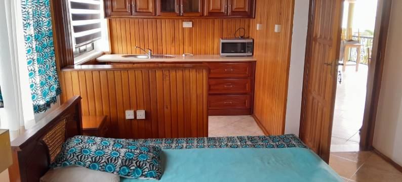 桑科法别墅(Villa Sankofa)图片