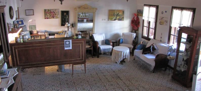 阿里叶哈尼姆酒店(Aliye Hanim Hotel)图片