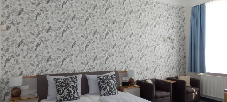 贝尔维尤酒店(Hotel Bellevue)图片