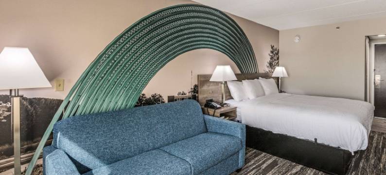 凯隆波因特酒店 - 近大学(Clarion Pointe Near University)图片