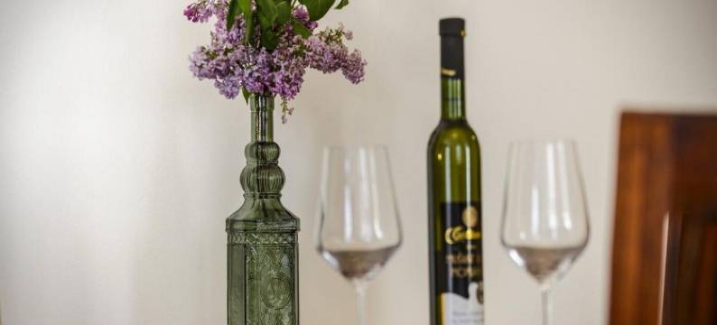 老城区Franka公寓(Apartments Franka Old Town)图片