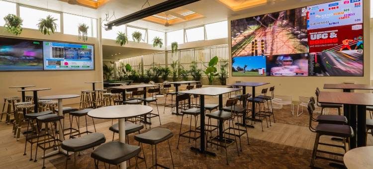 麦夸利湖贝尔山酒店(The Belmont Hotel)图片