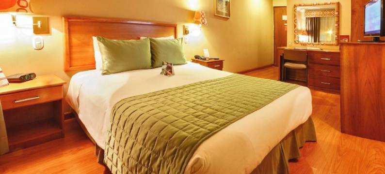 征服者酒店(Hotel El Conquistador)图片