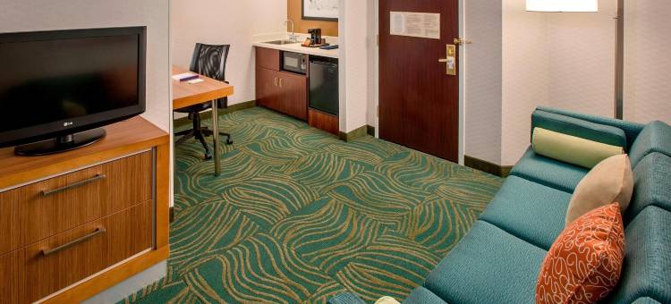 费城威洛格罗夫万豪SpringHill酒店(SpringHill Suites Philadelphia Willow Grove)图片