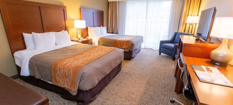 市中心舒适酒店(Comfort Inn Downtown)图片