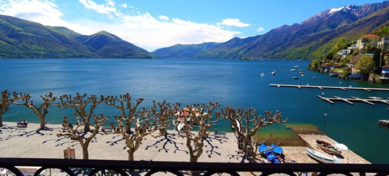 埃尔维齐亚酒店阿斯科纳(Hotel Elvezia Ascona)图片