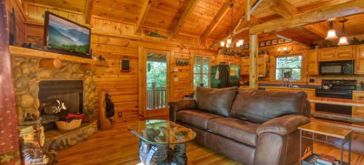 Private Wooded Setting with Game Room and Hot Tub - Stunning Rustic Haven图片