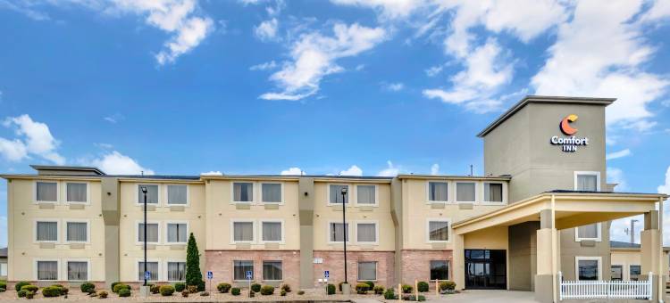 舒适酒店(Comfort Inn)图片