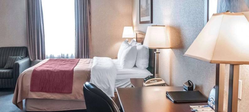 舒适酒店(Comfort Inn)图片