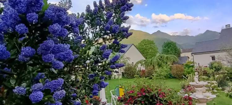 山峰阳台酒店(Le Balcon des Cimes)图片