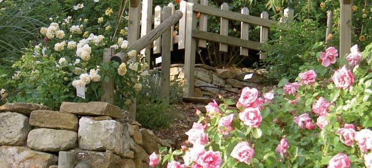 爱芭耶花园酒店(Les Jardins de l'Abbaye)图片
