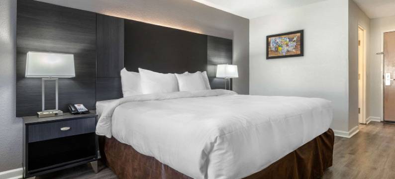 大学伊克诺旅馆(Econo Lodge at the University)图片