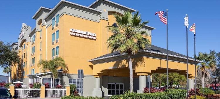 格勒里亚棕榈酒店(Galleria Palms Orlando - Free Theme Park Shuttles)图片