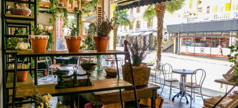 酒店大陆前花园(Hotel Continental)图片